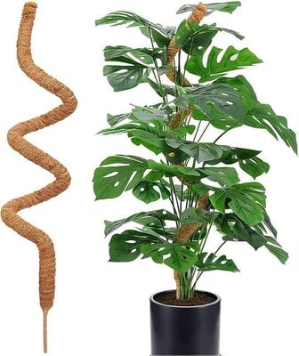 Lollanda Mosspålar för klätterväxter,Böjbar Mossestav - Växtstöd / stödstav 120cm,Klätterstöd för klättrande växter, murgröna och monstera