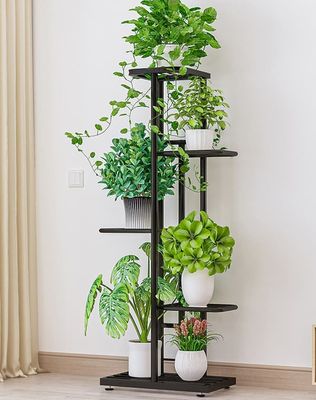 Blomsterhylde blomsterstativ Ficus 43x22x98cm