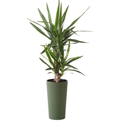 Urbanika ECO træ urtepotte grøn h46 cm