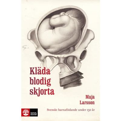 Kläda blodig skjorta : svenskt barnafödande under 150 år (häftad)
