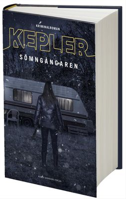 Sömngångaren (Bok)