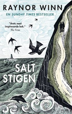 Saltstigen (Bok)