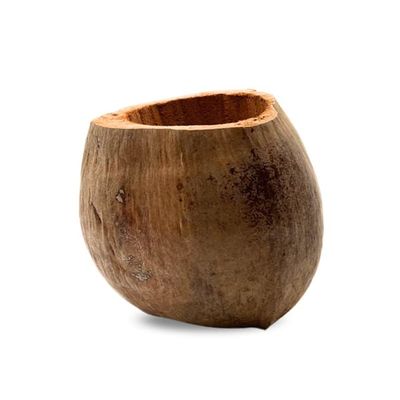 BioCoco Pot Kokospotte til Epiphyte orkideer