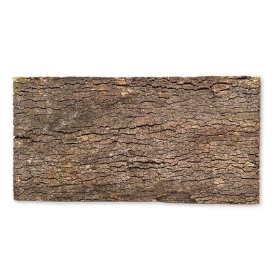BioVirgin korkbaggrund mørk 60x30 cm korkbaggrund til terrarier