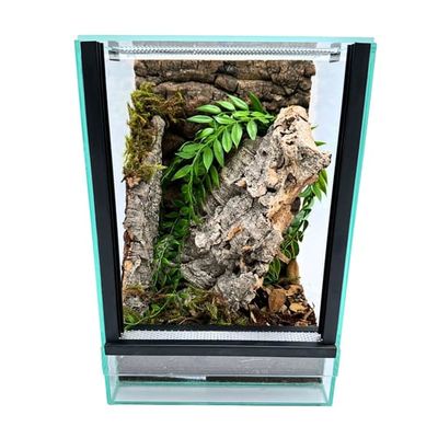 Glasterrarium med utrustning 20x20x30cm set för trädspindlar