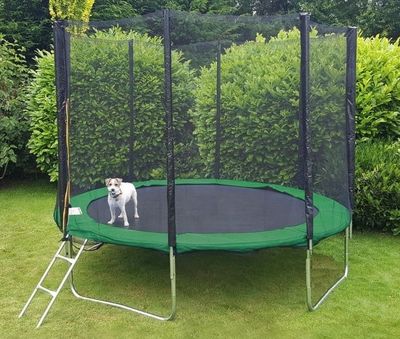 244cm GS-godkendt grøn & sort trampolin med sikkerhedsnet - Perfekt til familiehygge