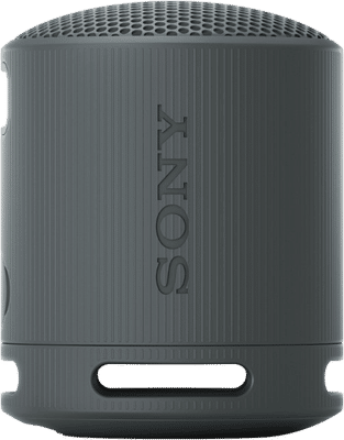 Sony SRS-XB100 Zwart