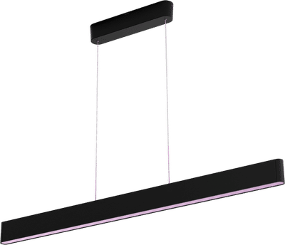 Philips Hue Ensis hanglamp White & Color Zwart