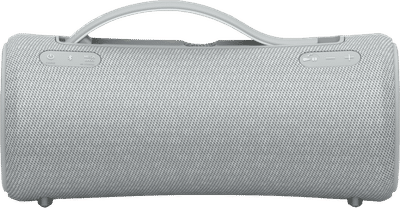 Sony SRS-XG300 Grijs
