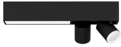 Philips Hue Centris opbouwspot White & Color 2-lichts Zwart - rechthoekig