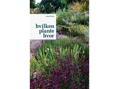 Hvilken plante hvor | Jane Schul | Språk: Dansk