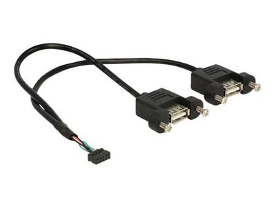 Delock - Intern-til-ekstern USB-kabel - 10-pins USB-kontakt (hunn) til USB (hunn) - 25 cm - svart