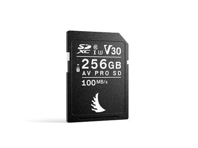 Angelbird SD-kort AV PRO 256GB V30