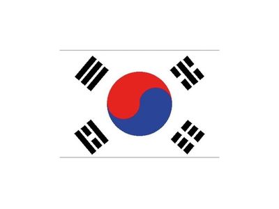 Flag Sydkorea, 90 x 150 cm