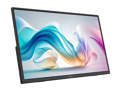 MSI PRO MP165DE E6 - LED-skjerm - 16" (15.6" synlig) - portabel - 1920 x 1080 Full HD (1080p) @ 60 Hz - IPS - 250 cd/m² - 1000:1 - 4 ms - Mini HDMI...
