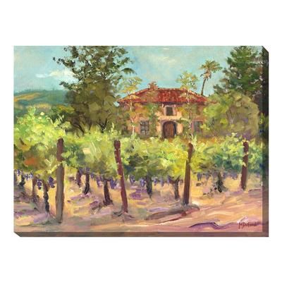 All Weather All Season Outdoor Canvas Art by West Of The Wind in Multi