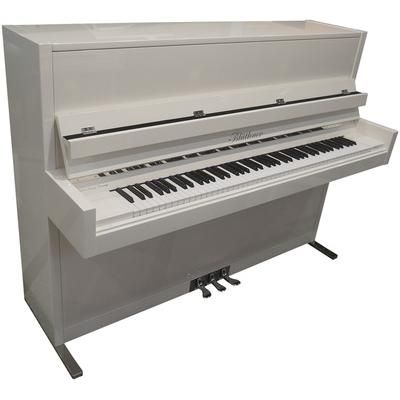 Blüthner Model D white