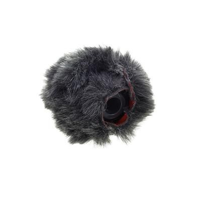 Schoeps W 20 RI