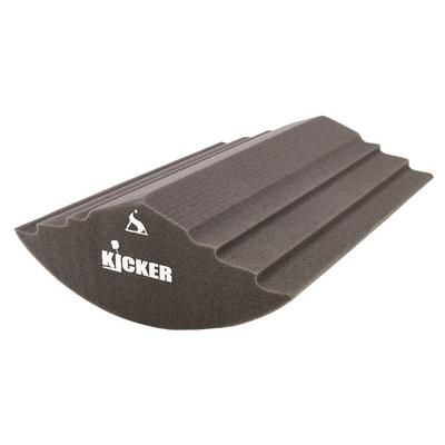 "Sonitus Acoustics The Kicker 24"x20" BD Pillow"
