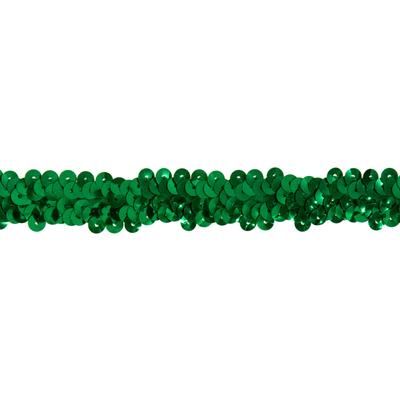 Ruban élastique à paillettes, vert, 20 mm, 3 m