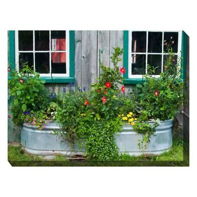 All Weather All Season Outdoor Canvas Art by West Of The Wind in Multi