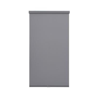 Wide Width Cordless Spring Sunscreen Roller Shade by Whole Space Industries in Stone (Size 27" W 66" L)