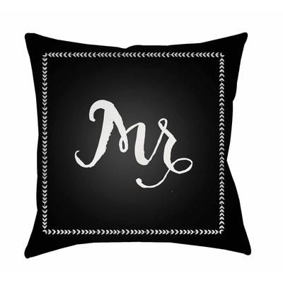 Puelay 18" Square Modern Pillow plush solid Onyx Black/White Tonal/Pewter/Neutral/Dusty Sage/Jet Black/Light Silver/Black/Onyx Outdoor Throw Pillow - Boutique Rugs