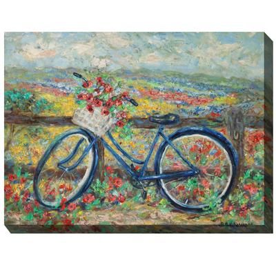 Country Bike Outdoor Art by West of the Wind in Multi