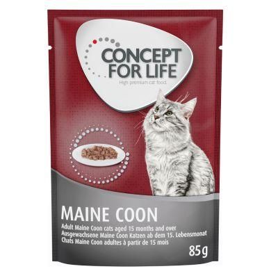 48x85g Ragout Maine Coon Adult Concept for Life Wet Cat Food