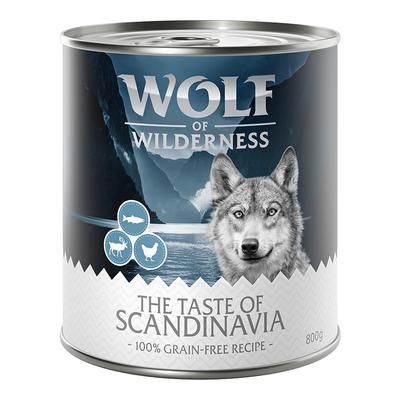 6x800g Salmon Adult Taste of Scandinavia Wolf of Wilderness Wet Dog Food