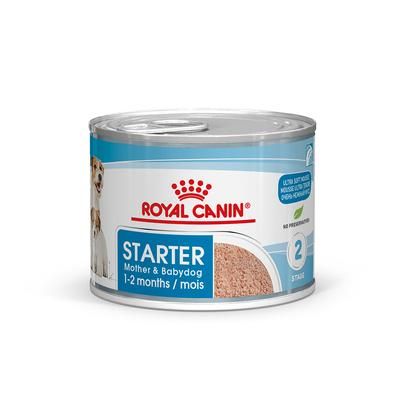 24x195g Mother & Babydog Starter Mousse Royal Canin Wet Dog Food