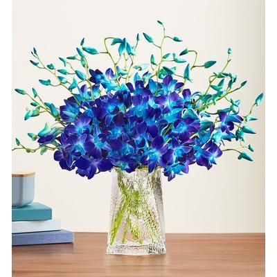 1-800-Flowers Flower Delivery Ocean Breeze Orchids 20 Stems W/ Clear Vase | Put A Smile On Their Face
