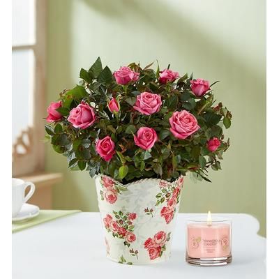 1-800-Flowers Flower Delivery Classic Budding Rose Small W/ Candle
