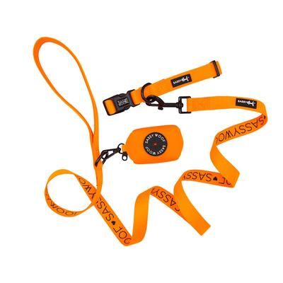 Sassy Woof 3 Piece Dog Bundle with Matching Collar, Leash, and Waste Bag Holder, Neon Orange, Large