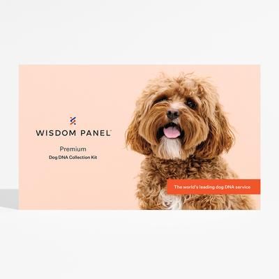 Wisdom Panel™ Premium Dog DNA Test