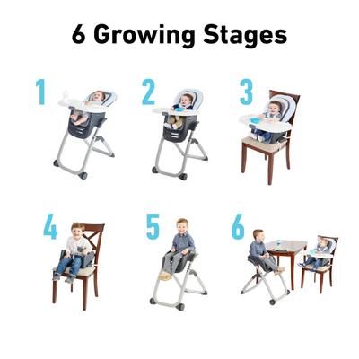 Graco DuoDiner DLX 6-in-1 High Chair - Hamilton
