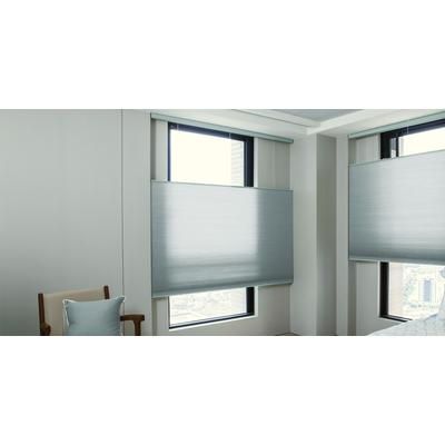 Designer Light Filtering Cellular Shades | 36" x 60"