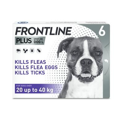 Frontline Plus Spot On | L (20-40kg) | 6 Pipettes | Dog Flea & Tick Treatment
