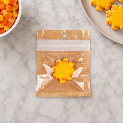 Kraft Backed Compostable Hanging Zipper Barrier Bags 2? x 2? 100 Pack HZBBE9KC