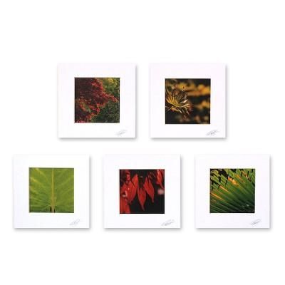 'Patterns of Life' (set of 5)