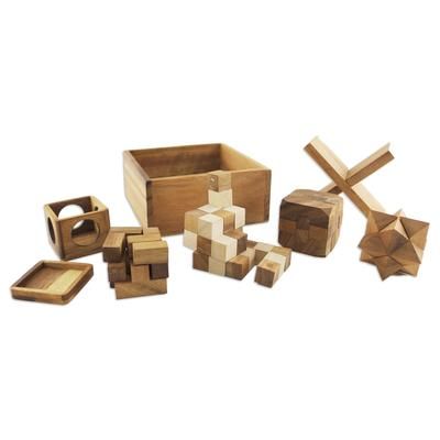 Five Puzzles,'Handmade Set of Five Wooden Puzzles from Thailand'