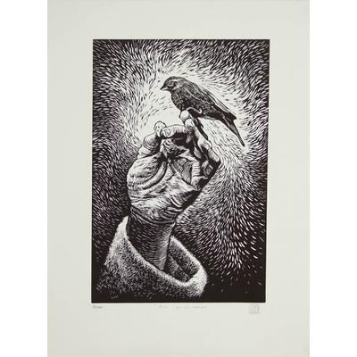Such Is Love,'Etched Print of Mexican Canary Signed Limited Edition'