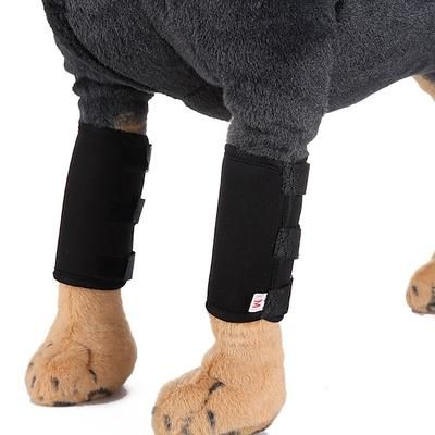 Prodotti per cani Accessori Di tendenza Comodo Regolabile Morbido Lavabile Comodo Esterno Sport Casual / quotidiano Abbigliamento per cani
