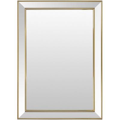 Netzschkau 43"H x 31"W x 1"D Traditional Gold Accent Mirror - Boutique Rugs