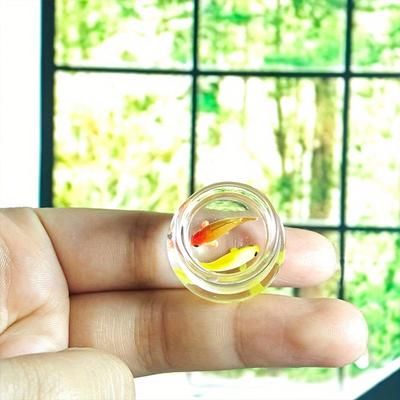 TEMU 1:12 Dollhouse Simulated Micro Mini Glass Koi Tank, Retro Fish Tank, Dollhouse Accessories, Home Model Toy Christmas Gift