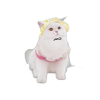 Prodotti per cani Prodotti per gatti Prodotti per roditori Cappelli, berretti e bandane Misura regolabile Tinta unita Cani Gatti Tinta unita 1 pc