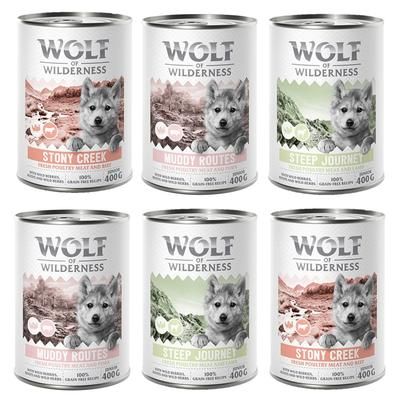 6x400g Mixed Pack Junior Wolf of Wilderness ''Expedition'' Wet Dog Food
