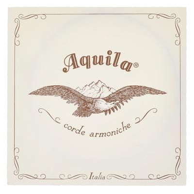 Aquila 120D140 Wound NG Lute String
