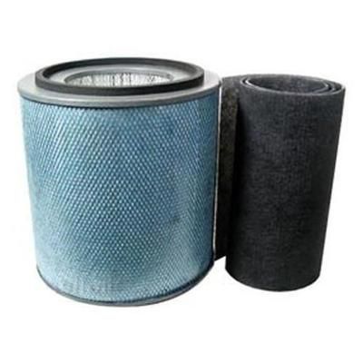 Austin Air Junior HEGA Filter with Black Pre-Filter FR205A