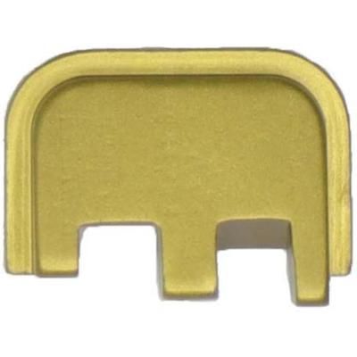 Anarchy Outdoors CZ-P10c 9mm Slide Plate Gold 791617486836